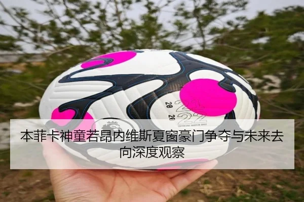 本菲卡神童若昂内维斯夏窗豪门争夺与未来去向深度观察